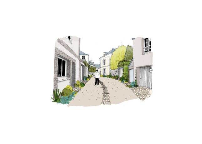 Denée – Coupe de rue alternative : une réflexion sur le partage de l’espace public, les mobilités et la place du végétal dans le village.