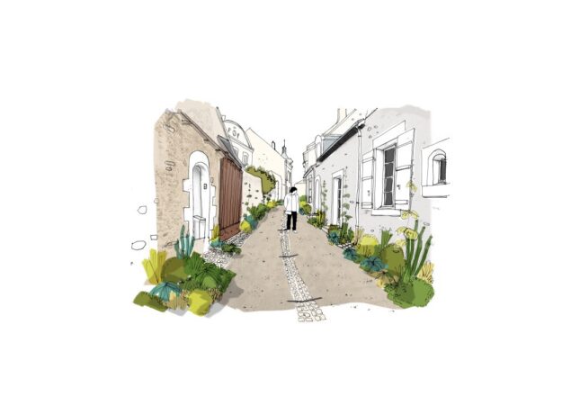 Denée – Coupe de rue alternative : une réflexion sur le partage de l’espace public, les mobilités et la place du végétal dans le village.