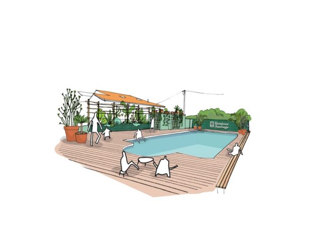 Bonjour Sauvage - Piscine du site